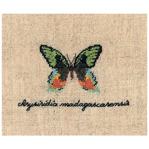 фото Набор для вышивания le bonheur des dames 3624 бабочка chrysiridia