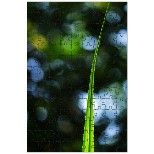 фото Магнитный пазл 27x18см."pandanaceae, сосны шурупа, винт ладони" на холодильник lotsprints