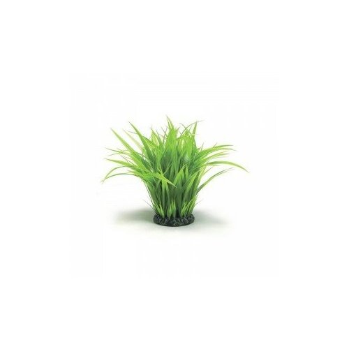 фото Кольцо с зеленой травой, большое grass ring large green biorb великобритания