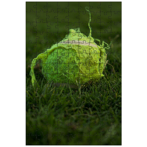 фото Магнитный пазл 27x18см."трава, мяч, теннис" на холодильник lotsprints