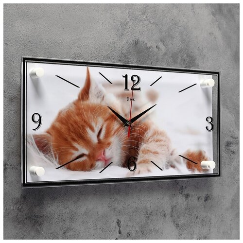 фото Часы настенные, серия: животный мир, "котик", 19х39 см рубин 2566707 . 21 век