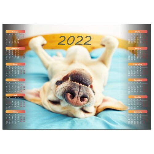 фото Календарь woozzee собака на кровати kla-1321-2139