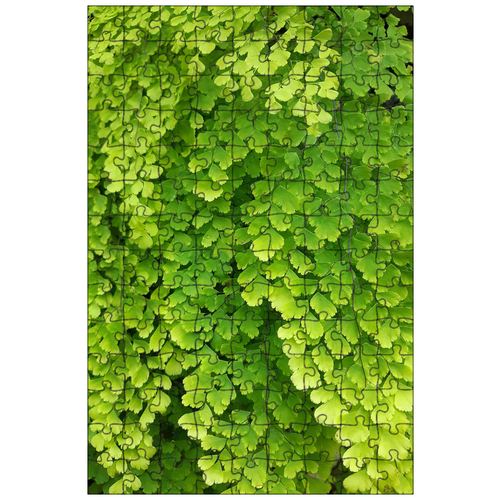 фото Магнитный пазл 27x18см."лист, зеленый, лезвие" на холодильник lotsprints