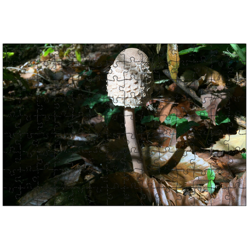 фото Магнитный пазл 27x18см."гриб, барабанный молоток, лес" на холодильник lotsprints