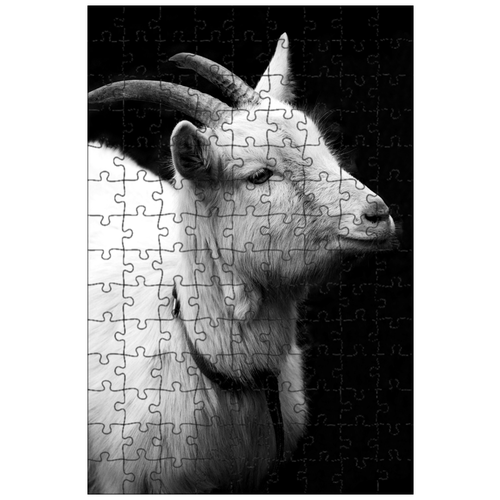 фото Магнитный пазл 27x18см."козел, рога, домашняя коза" на холодильник lotsprints
