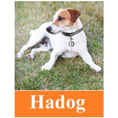 фото Gps-трекер hadog-05 для собак и кошек с ошейником