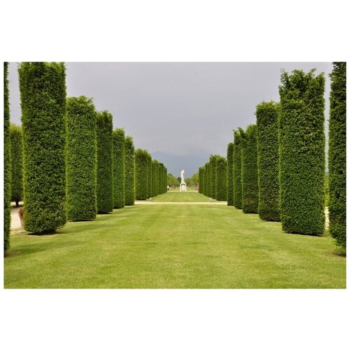 фото Интерьерная картина-обогреватель warmart "итальянские сады" 60х100 см