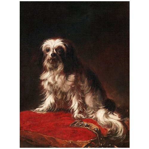 фото Постер a3 антонио мария вассалло - собака ши-тцу на красно-золотой подушке drabs