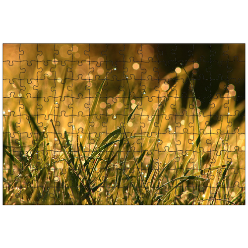 фото Магнитный пазл 27x18см."трава, капли, лезвия" на холодильник lotsprints