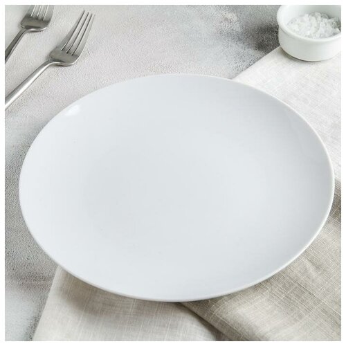 фото Тарелка мелкая «универсал» skiico kitchenware d=24 см / плоская тарелка цвет белый