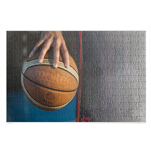 фото Пазлы coolpodarok баскетбол баскетбольный мяч хватка сверху 26х38см 252 элемента