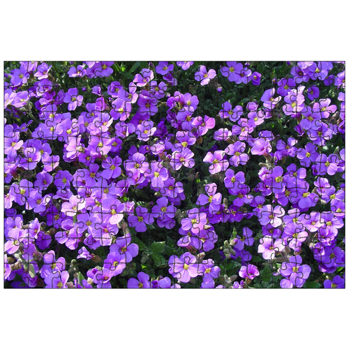 фото Магнитный пазл 27x18см."голубые цветки, синяя подушка, весна" на холодильник lotsprints