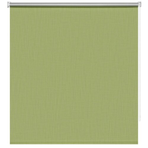 фото Рулонная штора блэкаут селия зеленый луг 160x175 см нет бренда