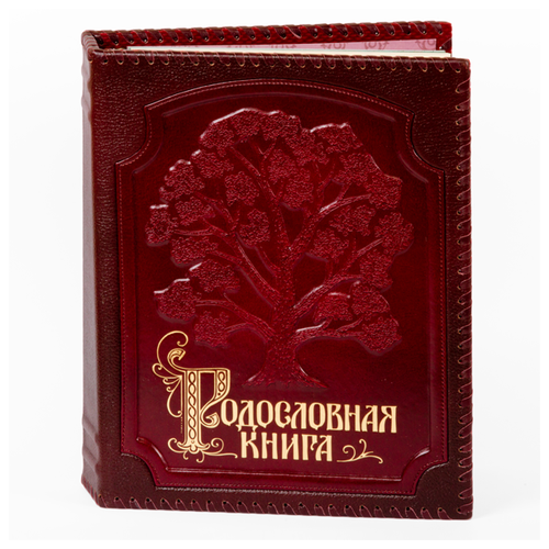 фото Родословная книга изысканная кож. облож. с оплеткой (подар. упак рк-017 knp- рк-017 центр родословия