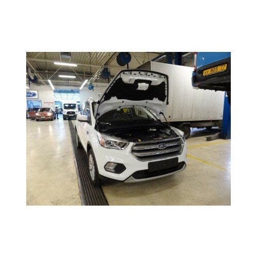 фото Амортизатор (упор) капота на ford kuga ku-fd-kg02-02 aengineering