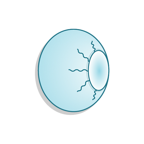 фото Чехол для аппарата с-дуга, круглой формы с эластичной резинкой по краю, диаметр 80 см, одноразовый. волгамедикал