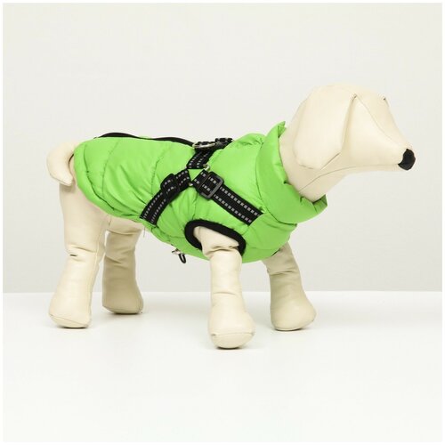 фото Куртка для собак со шлейкой, размер 10 (дс 25 см, ог 34 см, ош 24 см), салатовая сима-ленд