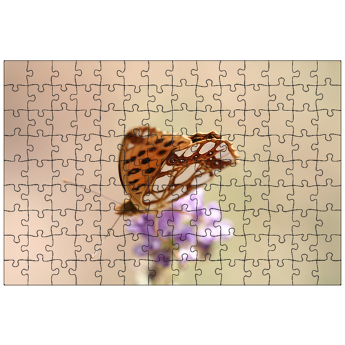 фото Магнитный пазл 27x18см."бабочка, животное, крыло" на холодильник lotsprints