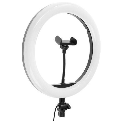 фото Светодиодная кольцевая лампа ring fill light m33, лампа 32 см, 10 вт, чёрный s.e.h.