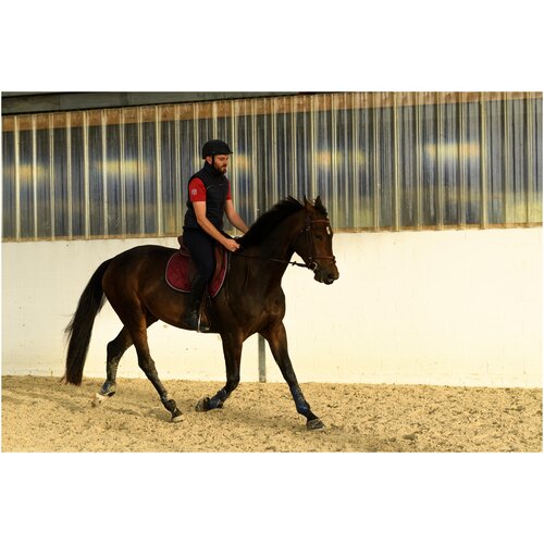 фото Вальтрап для лошади 540 fouganza x декатлон decathlon