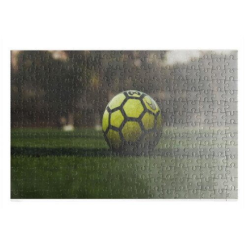 фото Пазлы coolpodarok футбол футбольный мяч зелёный трава 26х38см 252 элемента