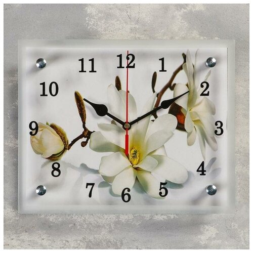 фото Часы настенные, серия: цветы, "орхидея", 20х25 см, микс mikimarket