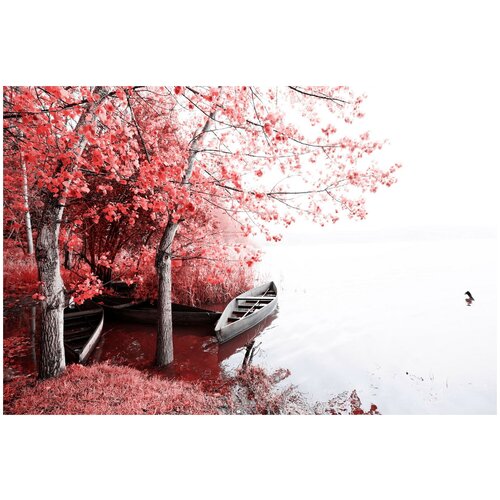 фото Постер на холсте лодка у красочных деревьев 60см. x 40см. твой постер