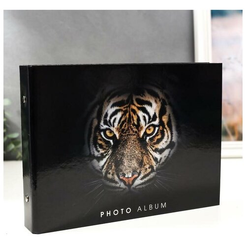 фото Фотоальбом 25 листов (уголки+кольца) "тигр на чёрном" 27х19 см 5306461 сима-ленд