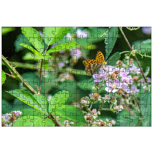 фото Магнитный пазл 27x18см."бабочка, императорское пальто, насекомое" на холодильник lotsprints