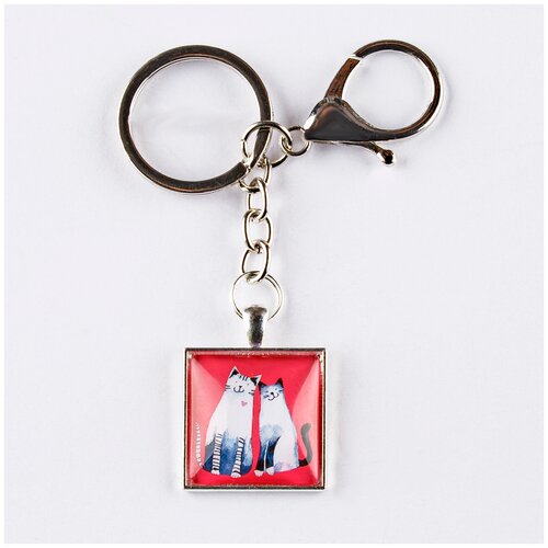 фото Брелок darifly серебристый с карабином, большим кольцом для ключей с цепью и квадратным рисунком "два влюблённых котика и красное сердечко на малиновом фоне