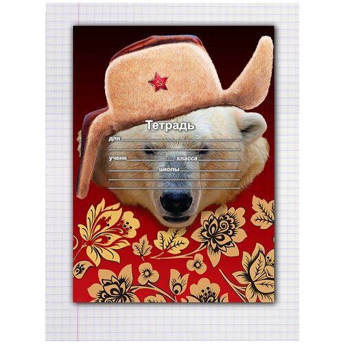 фото "набор тетрадей 5 штук, 24 листов в клетку с рисунком белый медведь в шапке" drabs