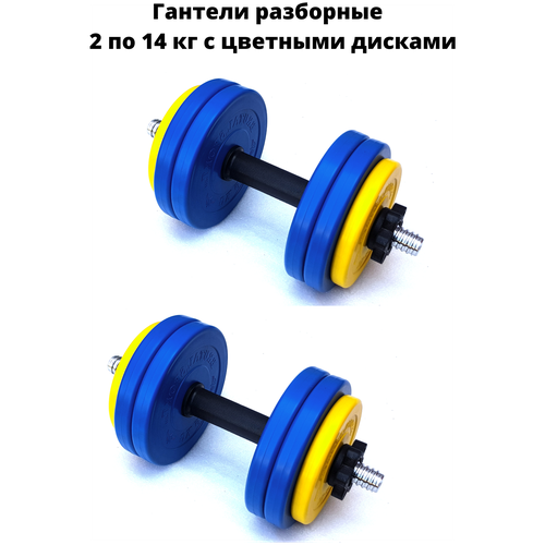 фото Гантели разборные brutal sport 2 по 14 кг с цветными дисками