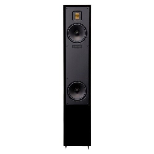 фото Колонка напольная martin logan motion 20 gloss black