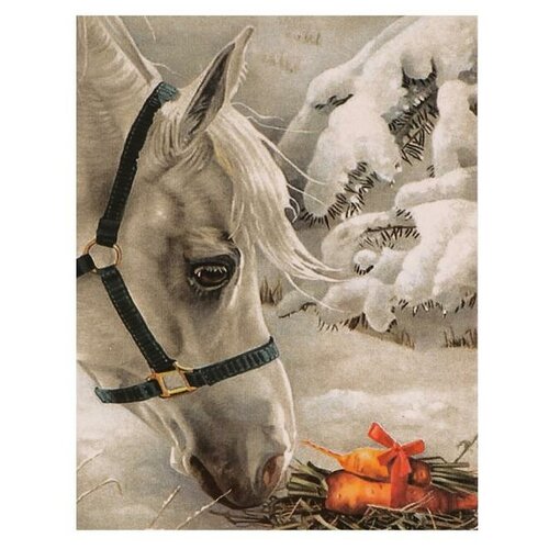 фото Роспись по холсту «подарок лошадке» по номерам с красками по 3 мл+ кисти+инстр+крепеж, 30 × 40 см qwen