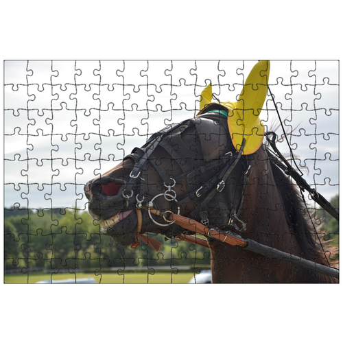 фото Магнитный пазл 27x18см."лошадь, скачки, желтая шапка" на холодильник lotsprints
