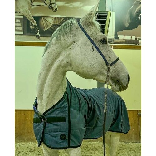 фото Попона для лошади вафельная anika horse (whitehorseshop)