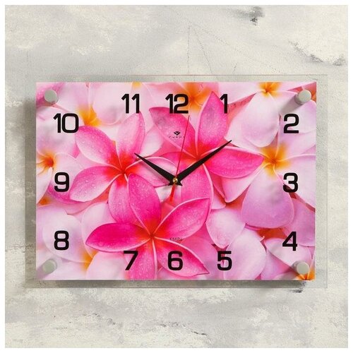 фото Часы настенные, серия: цветы, "цветы", 25х35 см, микс 1409237 . yandex market
