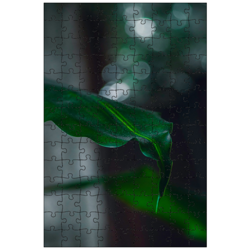 фото Магнитный пазл 27x18см."лезвие, внутри, листья" на холодильник lotsprints