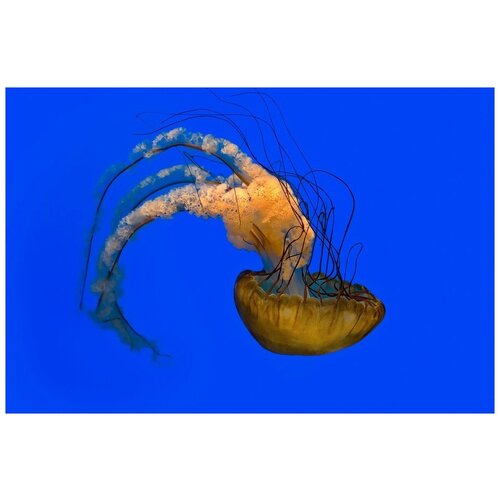 фото Интерьерная картина-обогреватель warmart "жёлтая медуза в океане" 60х100 см