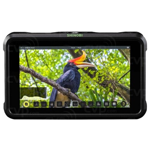фото Монитор atomos shinobi hdmi