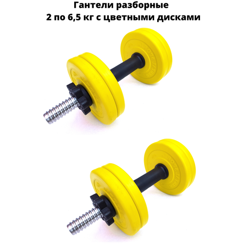 фото Гантели разборные brutal sport 2 шт.по 6,5 кг с цветными дисками