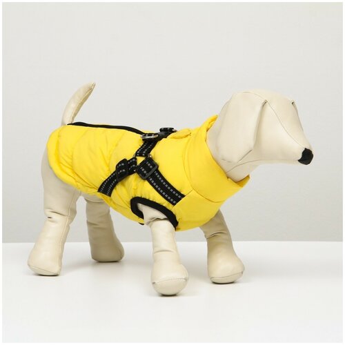 фото Куртка для собак со шлейкой, размер 16 (дс 36 см, ог 46 см, ош 35 см), лимонная сима-ленд