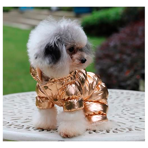 фото Пуховик для собак мелких пород. теплая зимняя куртка. золотой. размер xl teddy dog