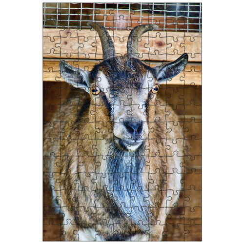 фото Магнитный пазл 27x18см."козел, портрет, рога" на холодильник lotsprints