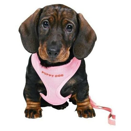 фото Трикси 15567 шлейка-жилет+поводок для щенка 23-34 см розовый trixie