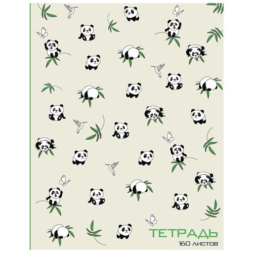 фото Тетрадь на кольцах, 160 листов в клетку "панды", твёрдая обложка, глянцевая ламинация, со сменным блоком альт