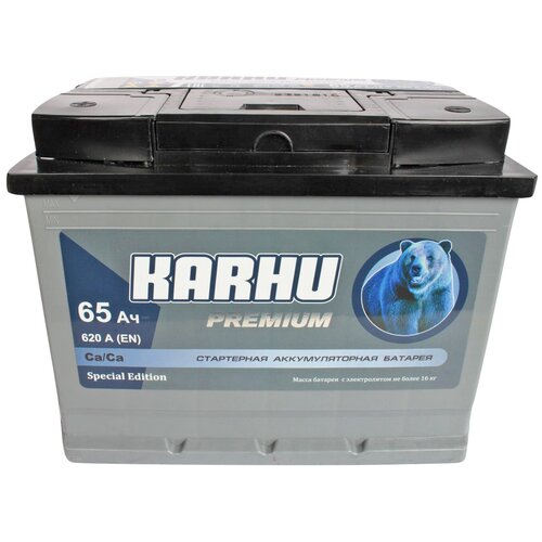 фото Аккумуляторная батарея karhu premium 6ст65