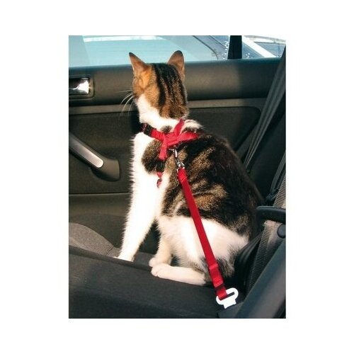 фото Trixie автомобильный ремень безопасности со шлейкой для кошки 20-50 см. 1294, 0,120 кг