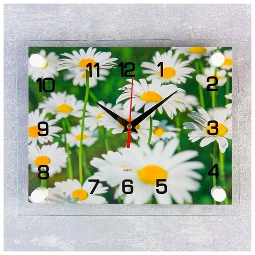 фото Часы настенные, серия: цветы,"ромашки", 20х26 см, микс 21 век 1061697 . yandex market