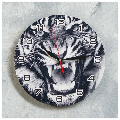 фото Часы настенные, серия: новый год 2022, "чёрно-белый тигр", d=24 см newstory